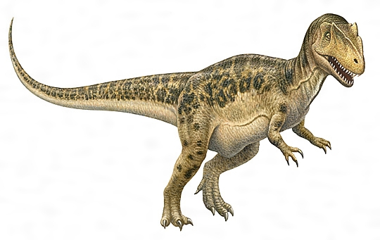 アロサウルスの復原図［百科マルチメディア］