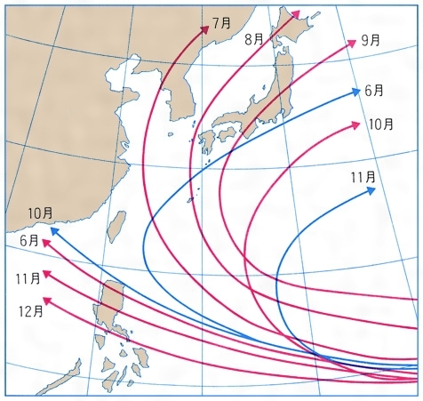 台風の月別主要経路〔図A〕［百科マルチメディア］