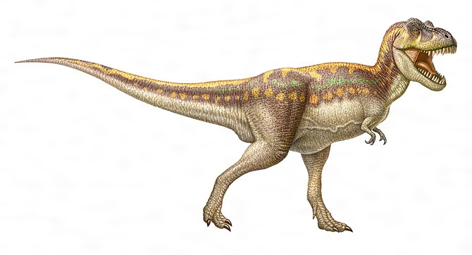 ティラノサウルスの復原図［百科マルチメディア］