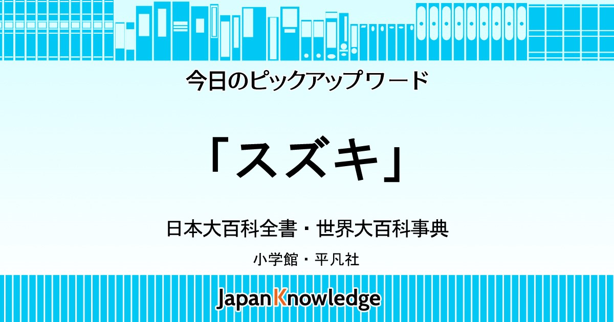 片山正夫魚類原図表（魚類図鑑） - その他