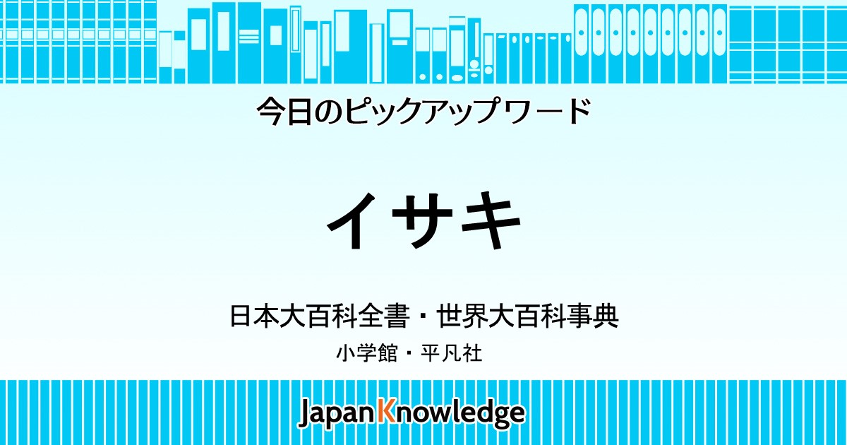 イサキ 日本大百科全書 世界大百科事典 ジャパンナレッジ