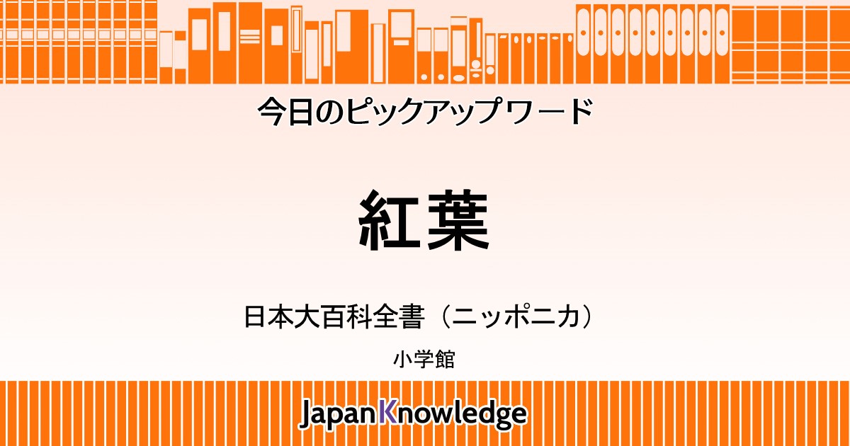 紅葉 日本大百科全書 ニッポニカ ジャパンナレッジ