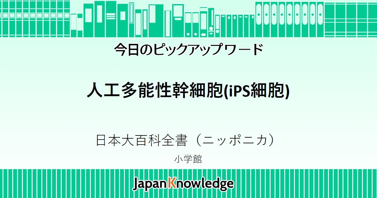 ヒト多能性幹細胞の一層の初期化成功 Science Portal 科学技術の最新情報サイト サイエンスポータル