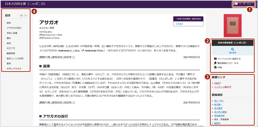 本文画面表示