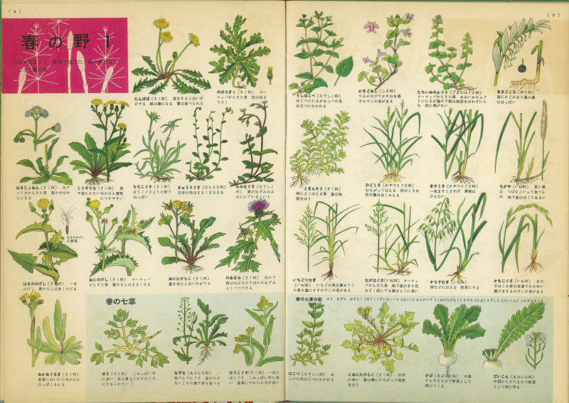 植物の 並び順 図鑑今昔ものがたり