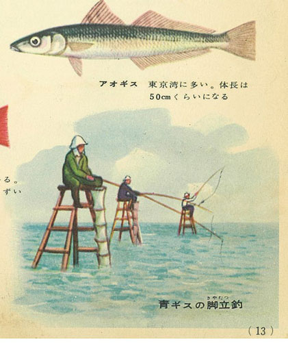 図鑑に発見 東京湾から消えた魚 図鑑今昔ものがたり