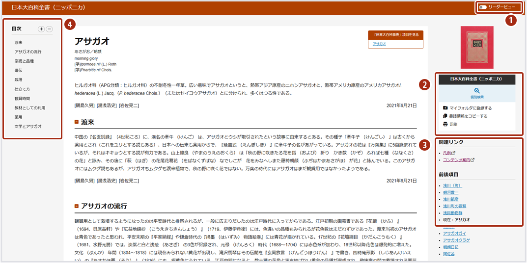 本文画面表示