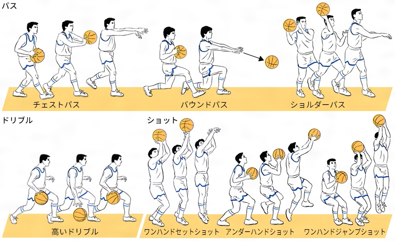 バスケットボールのパス ドリブル ショット 日本大百科全書