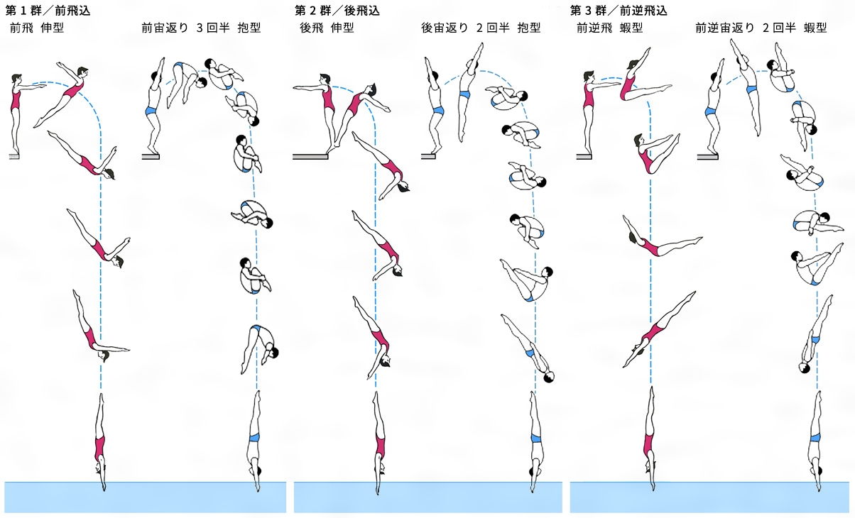 飛込競技のおもな演技種目 1 日本大百科全書